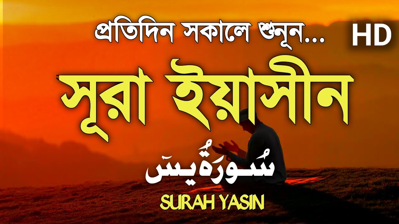 (প্রতিদিন সকালে শুনুন) আবেগময় কন্ঠে সূরা ইয়াসীন | Surah Yasin (سورة يس) By Alaa Aqel |
