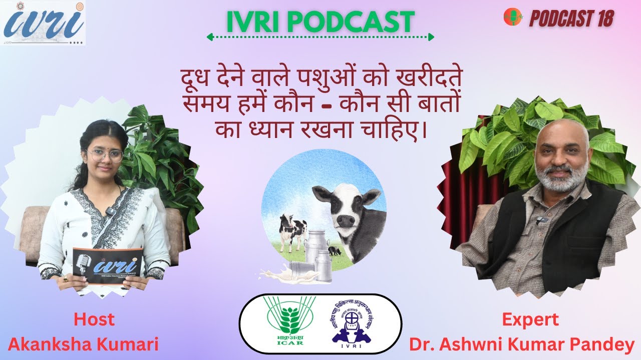 Selection of Dairy Animals for Milk Production || Podcast 18