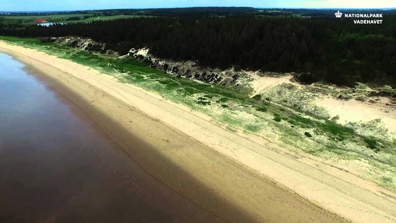 Marbæk – Nationalpark Vadehavet