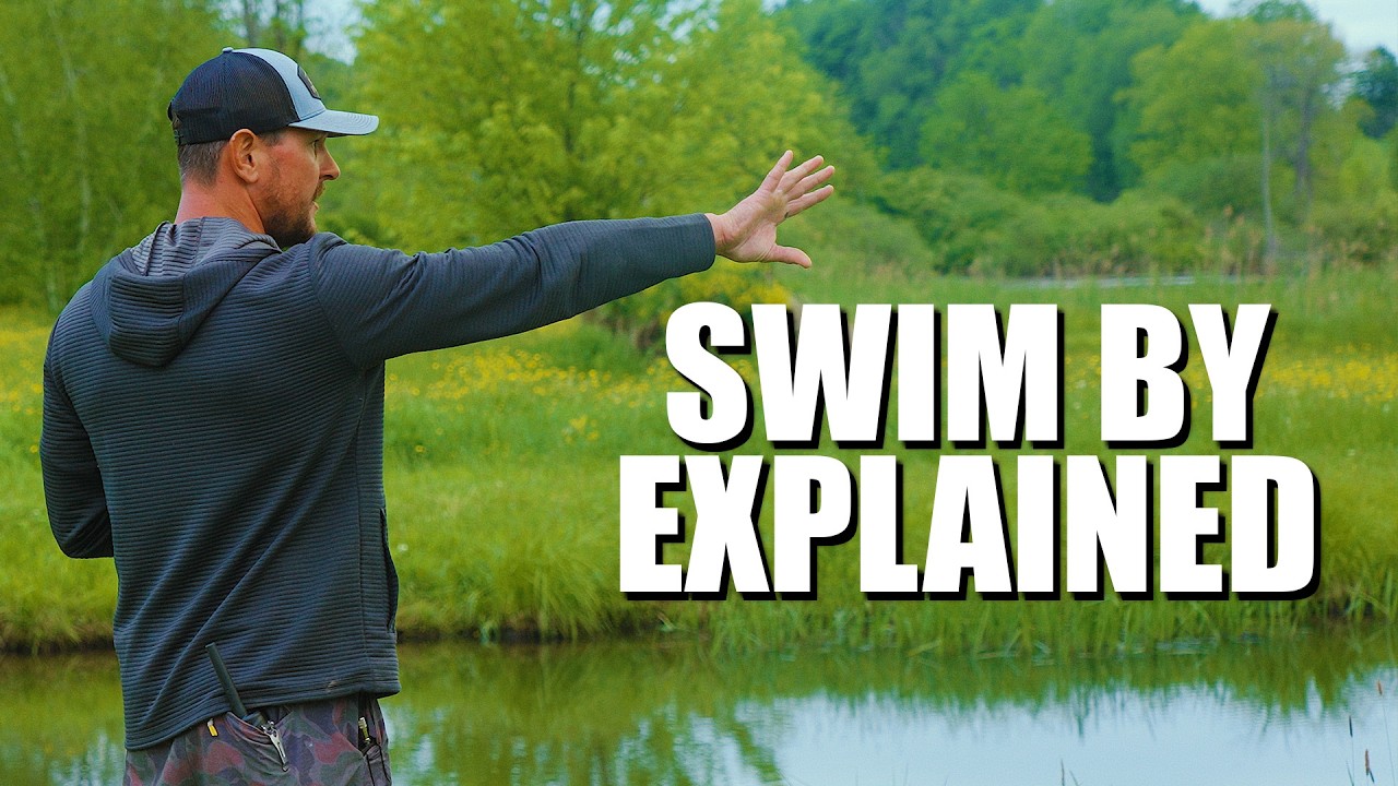 Why Swim By is the Key to a Finished Hunting Dog