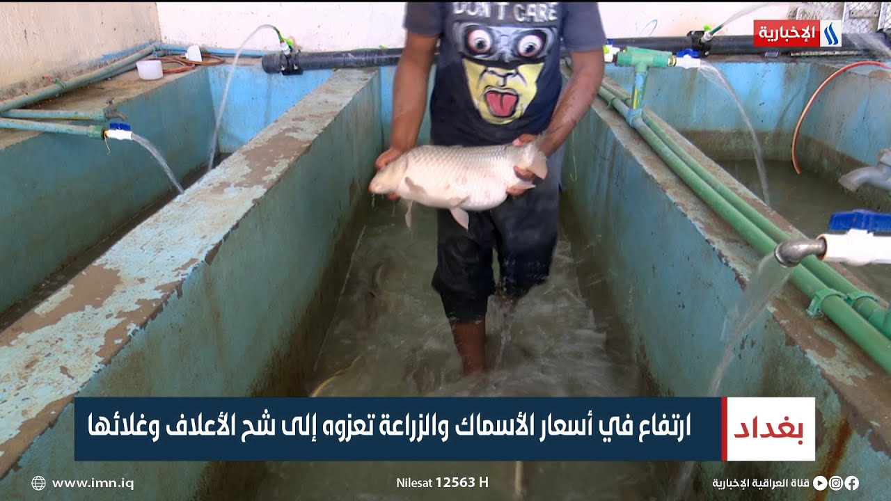 ارتفاع في أسعار الأسماك والزراعة تعزوه إلى شح الأعلاف وغلائها | تقرير محمد العيداني