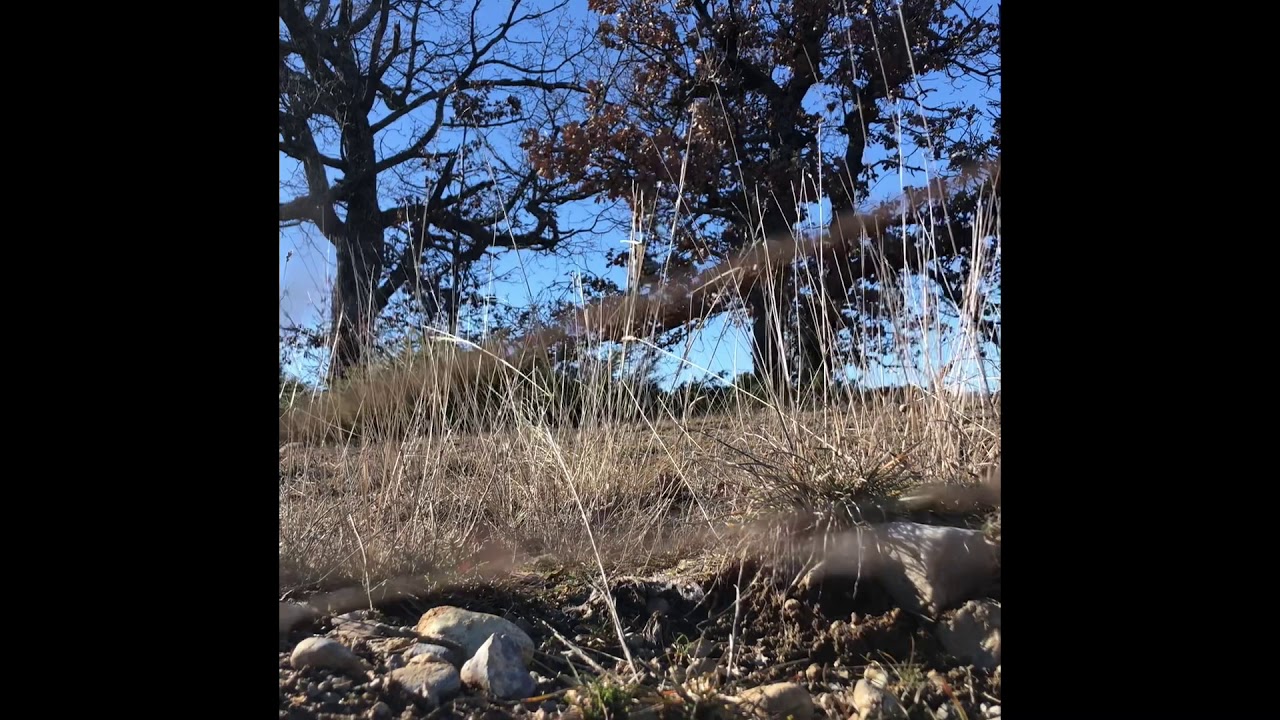 Remorque de tri ovine Past&rsquo;Or Initiative / Camara