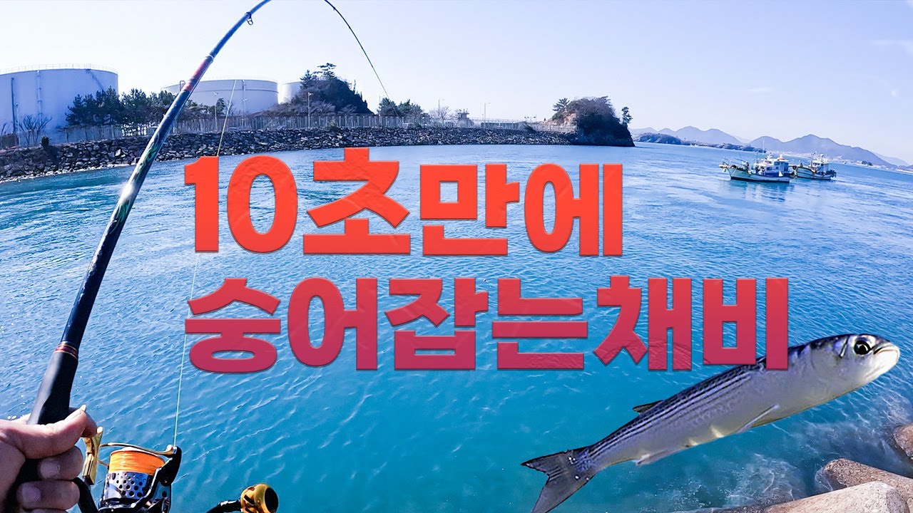 숭어 찌 낚시 마릿수 타작 채비 및 방법 2탄