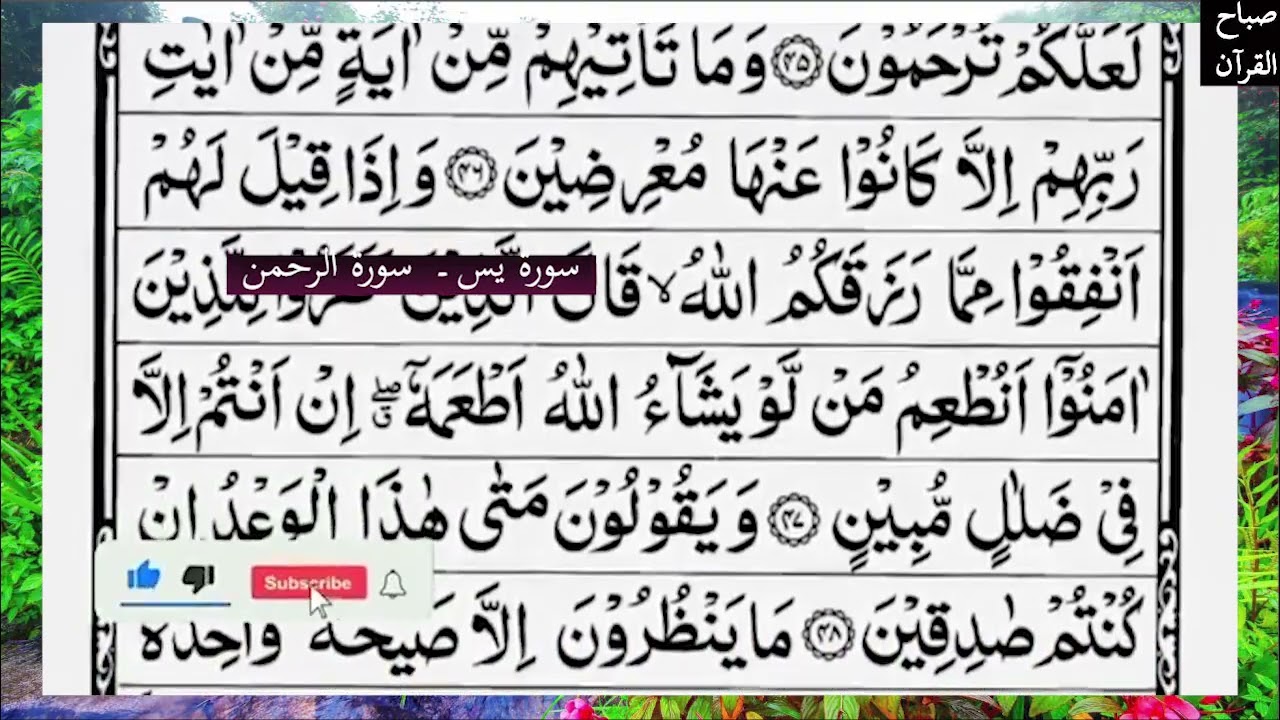 سورة يس  بنية الشفاء والرزق بأذن الله ورقية المنزل || علاء عقل  || تلاوة هادئة