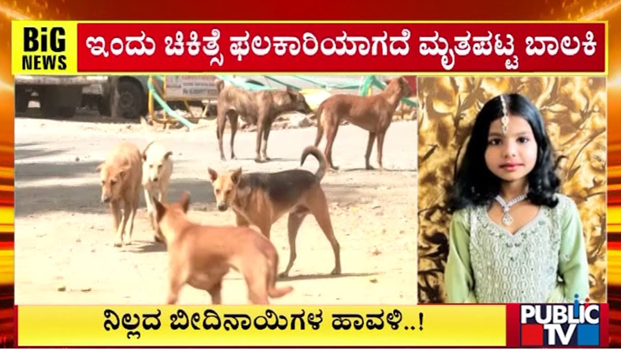 10-Year-Old Girl Succumbs To Dog Bite Injuries In Bagalkot | Public TV