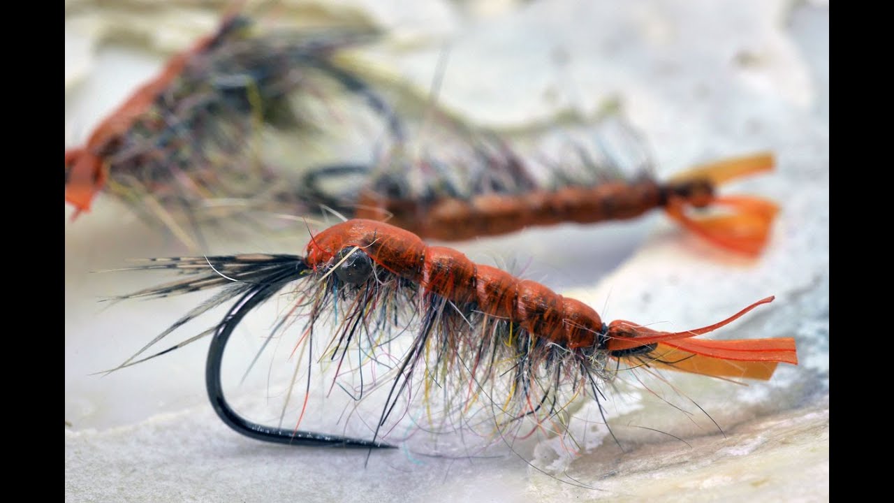 How to tie a simple Shrimp Pattern