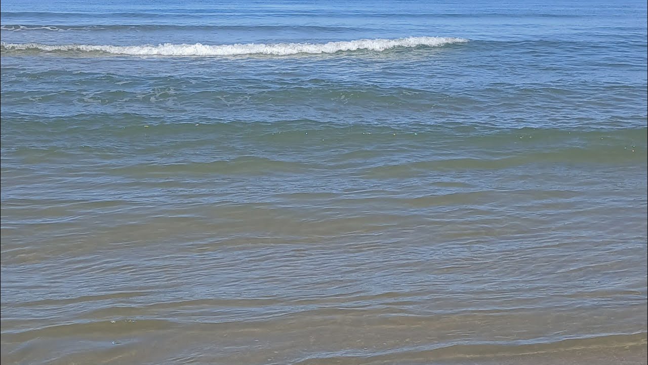 Una piccola diretta al mare 