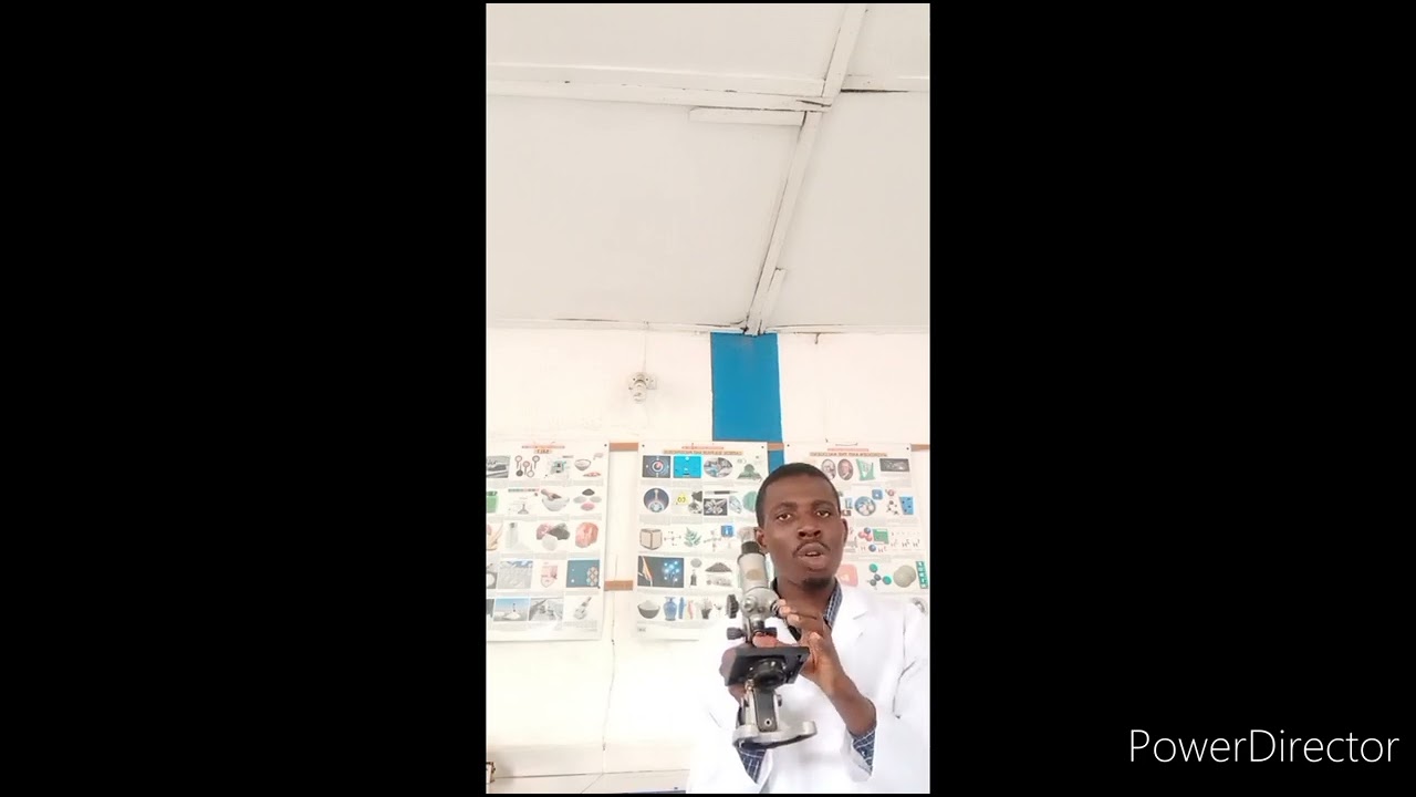 Neco Biology practical 2022