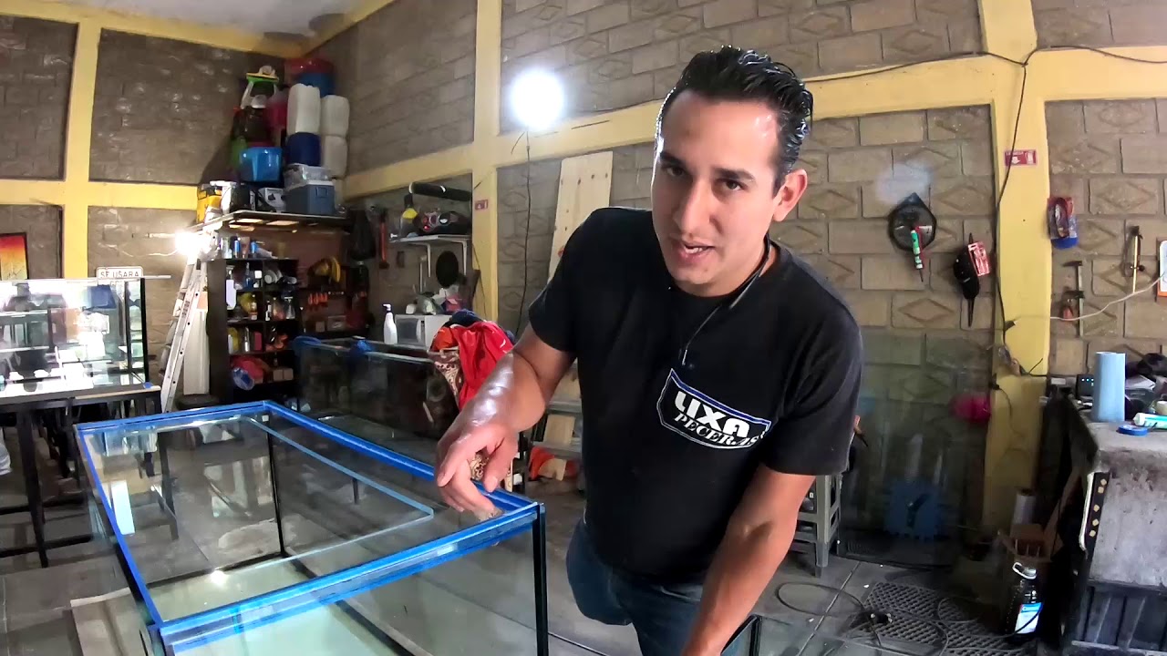 COMO hacer una PECERA como un PRO - LIXA PECERAS