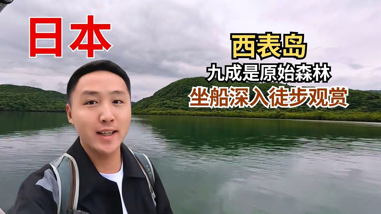 日本冲绳之西表岛，岛上九成都是原始森林，可以坐船深入并徒步！【痒痒看世界】 #日本冲绳 #八重山列岛 #西表岛 #旅行vlog
