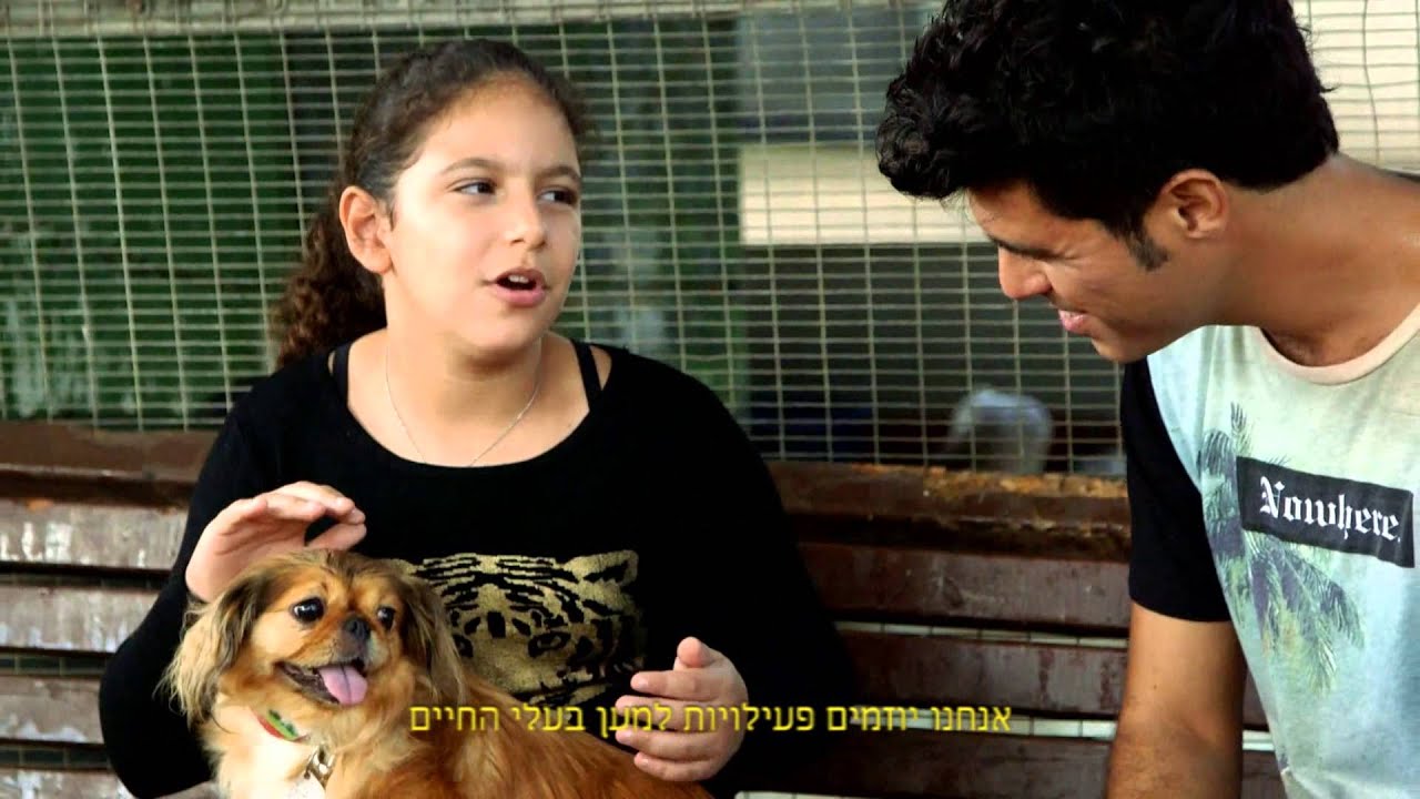 טל מוסרי בסרטון  'מועדון צב