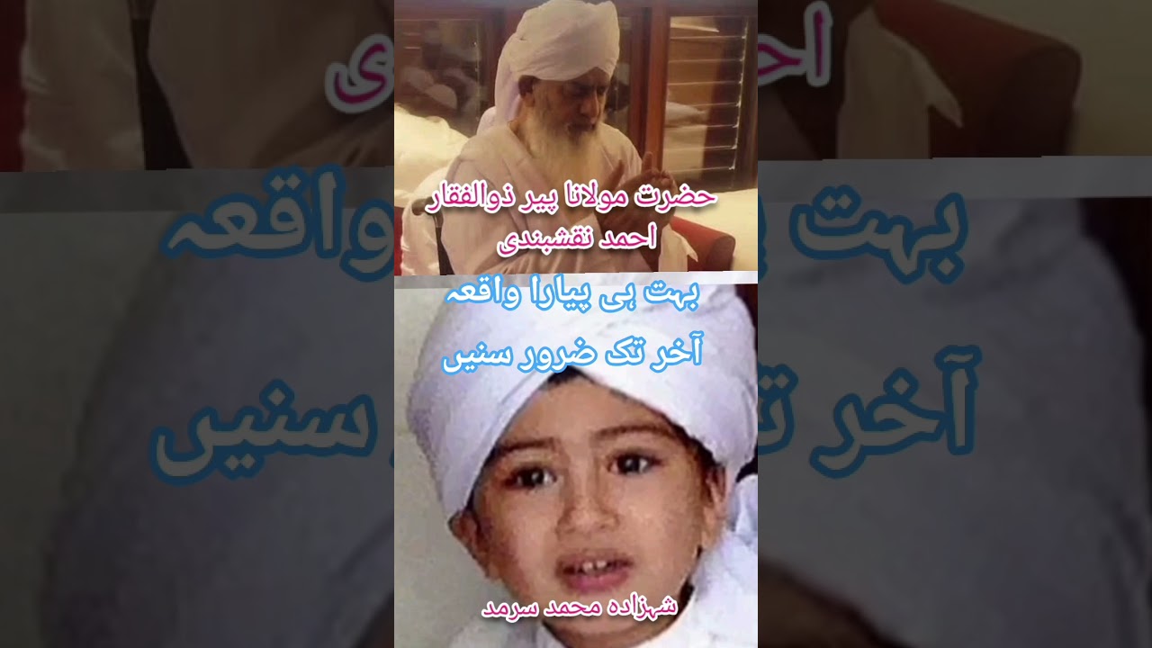 پوتے کی باتیں دادا کی زبانی حضرت الشیخ حافظ پیر ذوالفقار احمد نقشبندی مجددی رحمۃ اللہ (2)