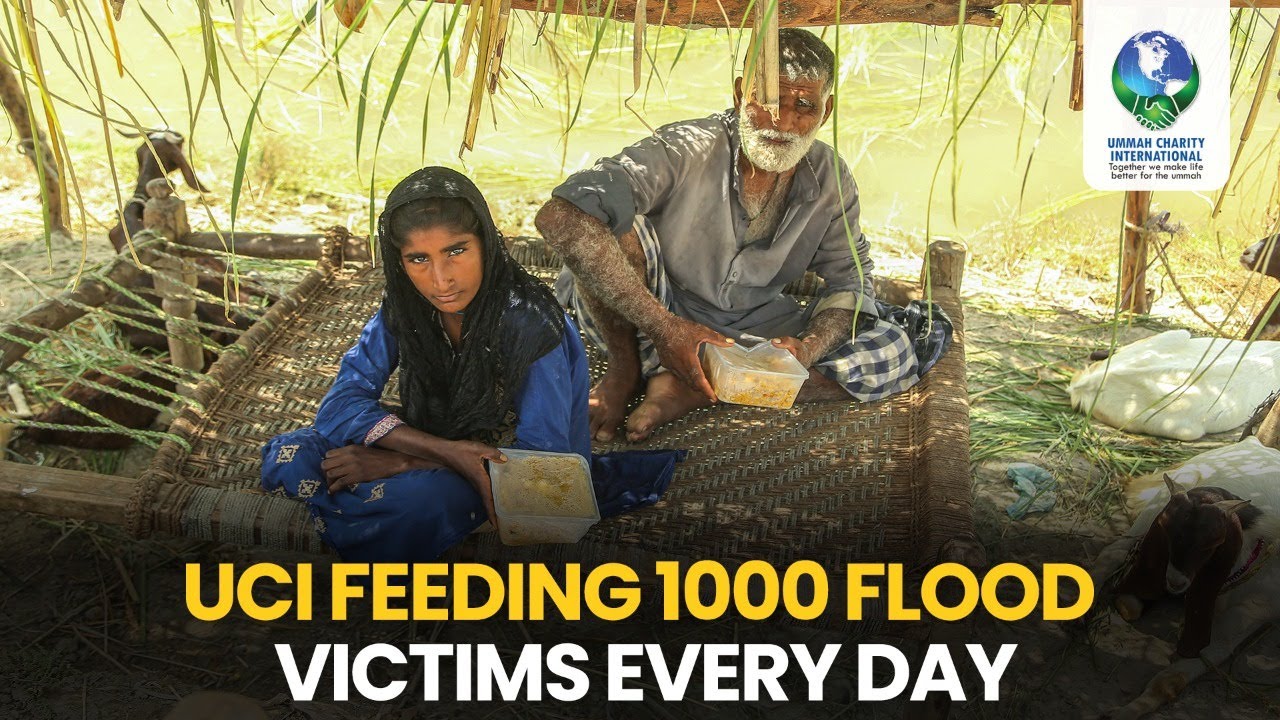 Team Ummah Charity International feeds 1000 flood victims every day! | Pakistan Flood Relief 2022