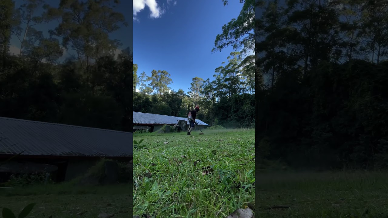 A Whipper Snipping Job On The slope at my customers place after cutting down trees all day 🙂👍🏻✅
