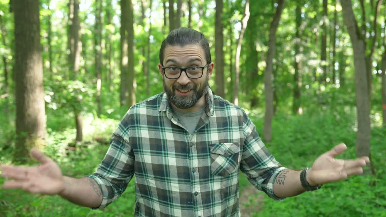 Erdőmánia - Erdőnevelési szakmai nap a Pilisi Parkerdőnél