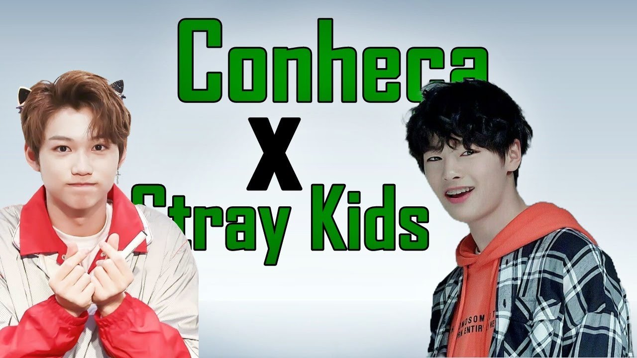 CONHECENDO STRAY KIDS, O GRUPO MARAVIGOLD!