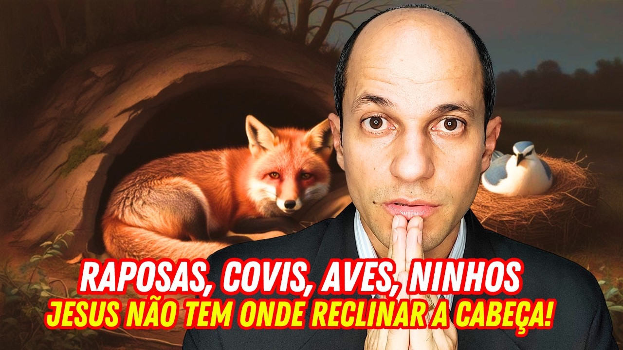 O significado de Raposas, covis, aves, ninhos e Jesus não ter onde reclinar a cabeça!