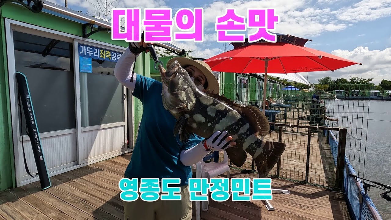 [유터낚시] 영종도 만정민트바다낚시터, 여름휴가 재개장후 잡은 자바리! 마치 선물 같네요.^^ ( 8월 25일 출조 )