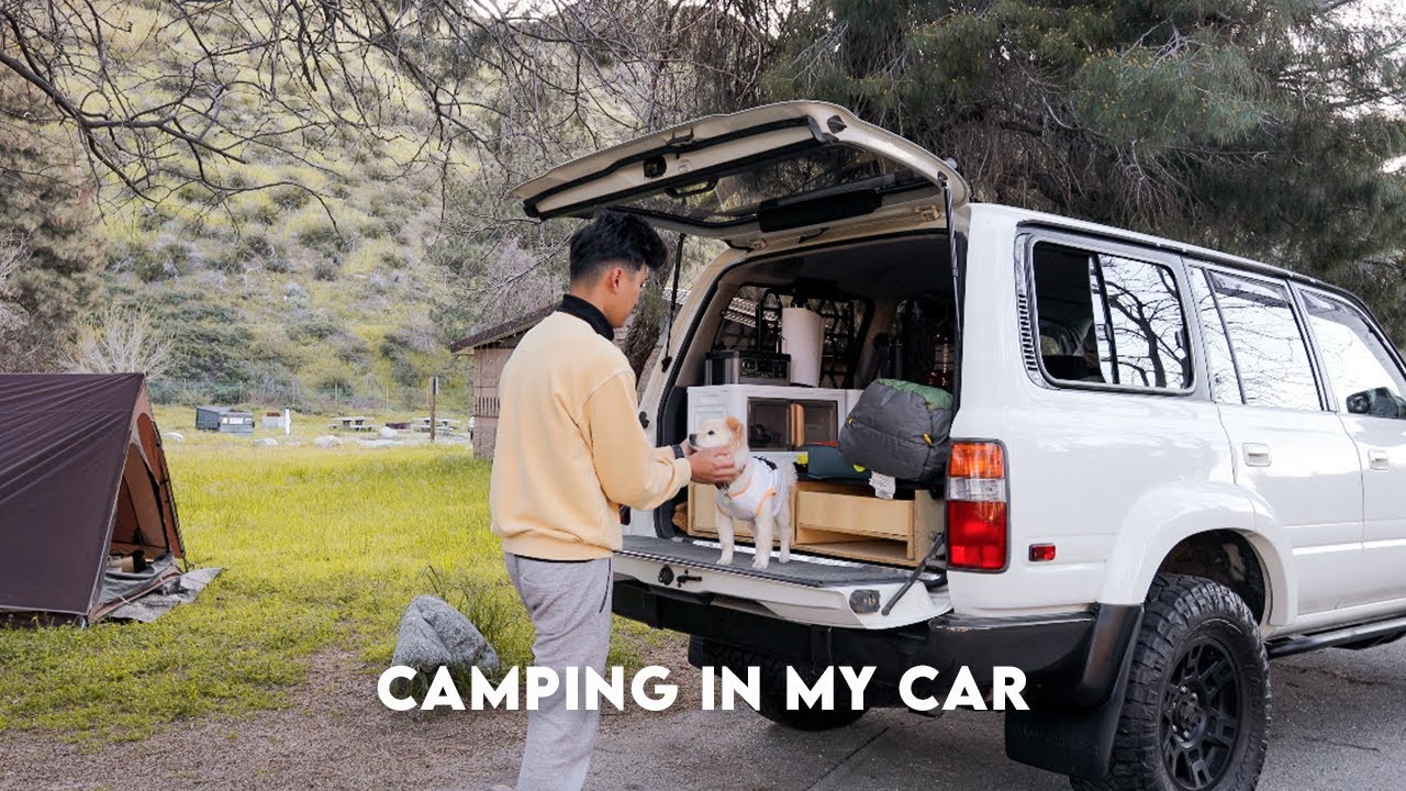 Camping, Cooking, and Fishing with Navi