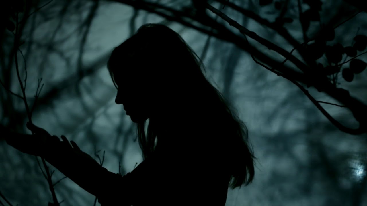 Seamus Egan Project - John O' Dreams (Bill Caddick) - feat. Moira Smiley