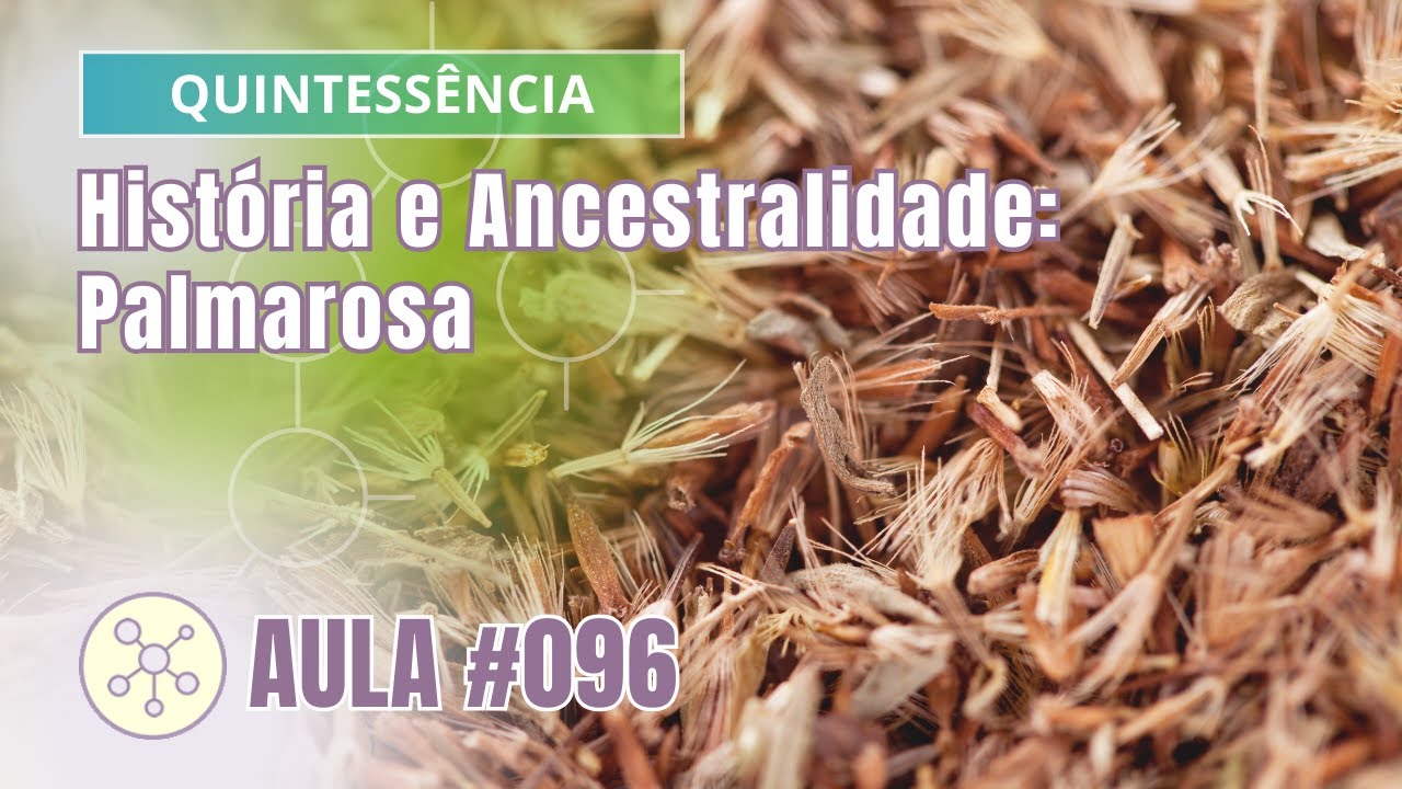 Aula #96 Quintessência - História e Ancestralidade: Palmarosa