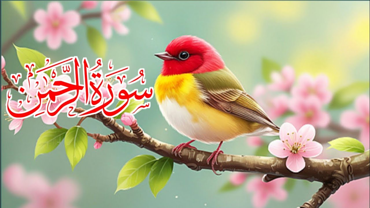 Surah Rahman HD with Arabic Text | Most Beautiful Voice | Quran Recitation