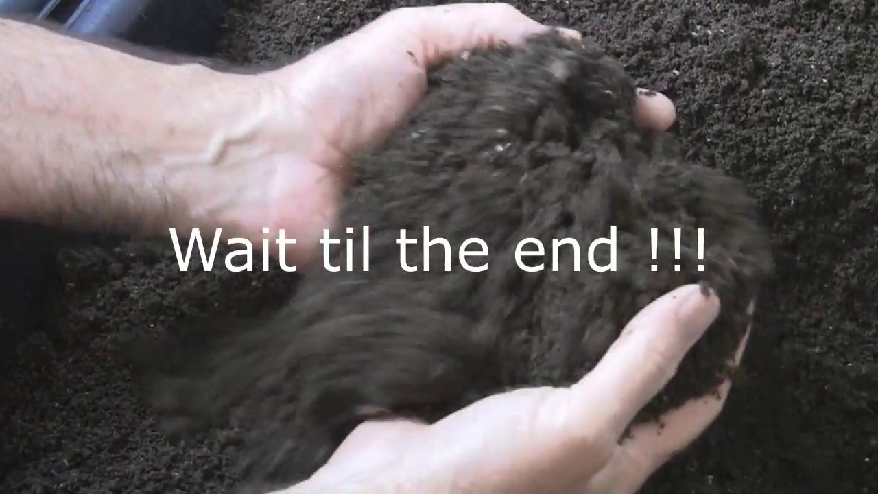 VermiBag  Ep 28  