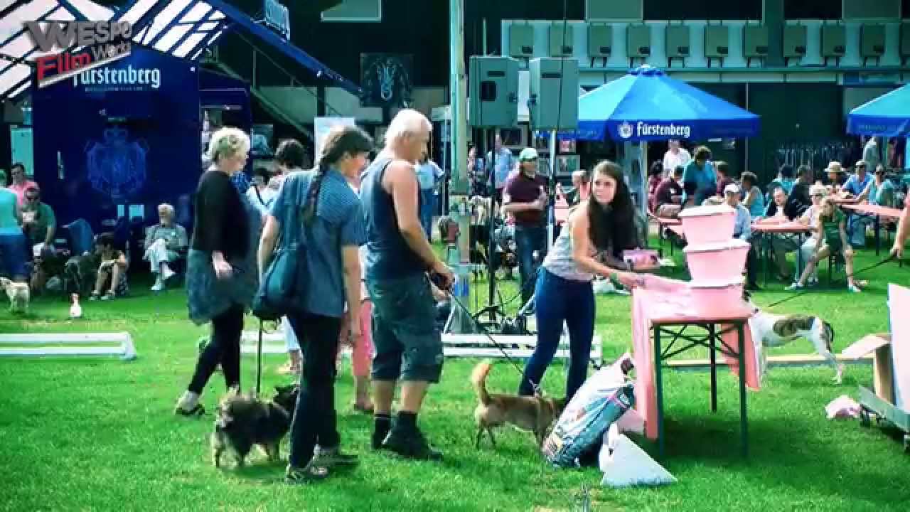 Windhundtage 2015