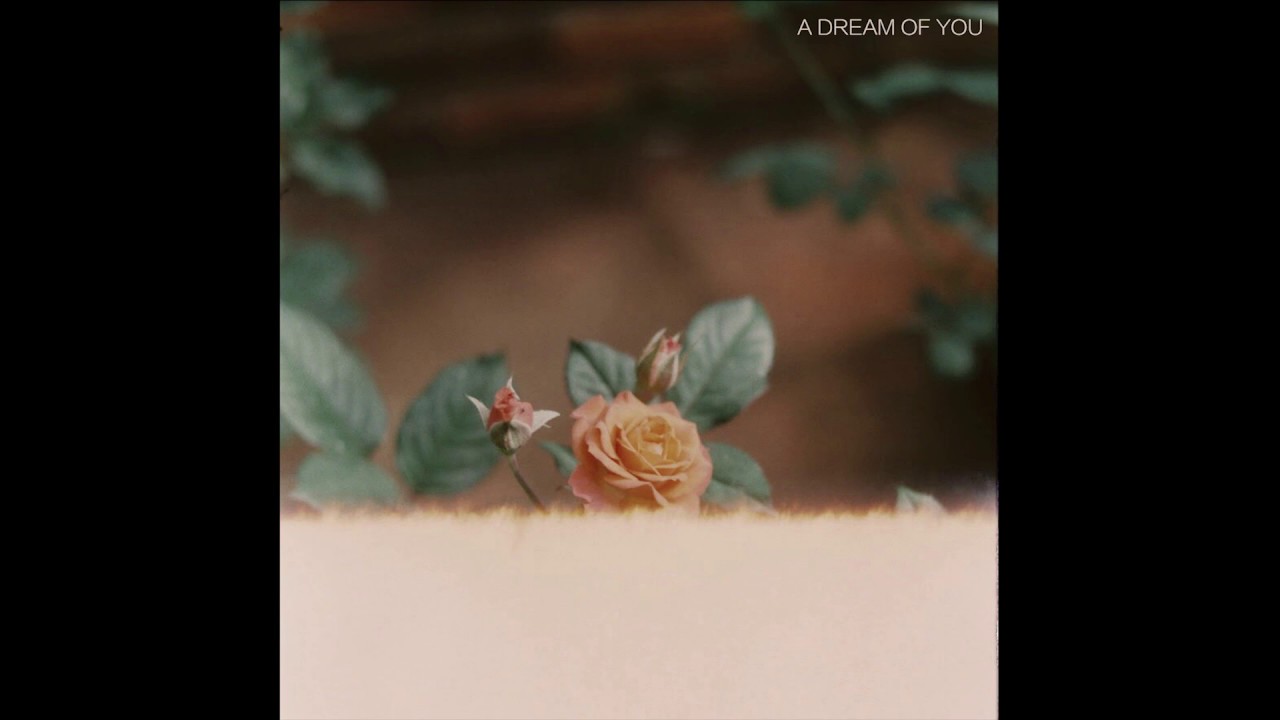 Far Caspian - A Dream of You