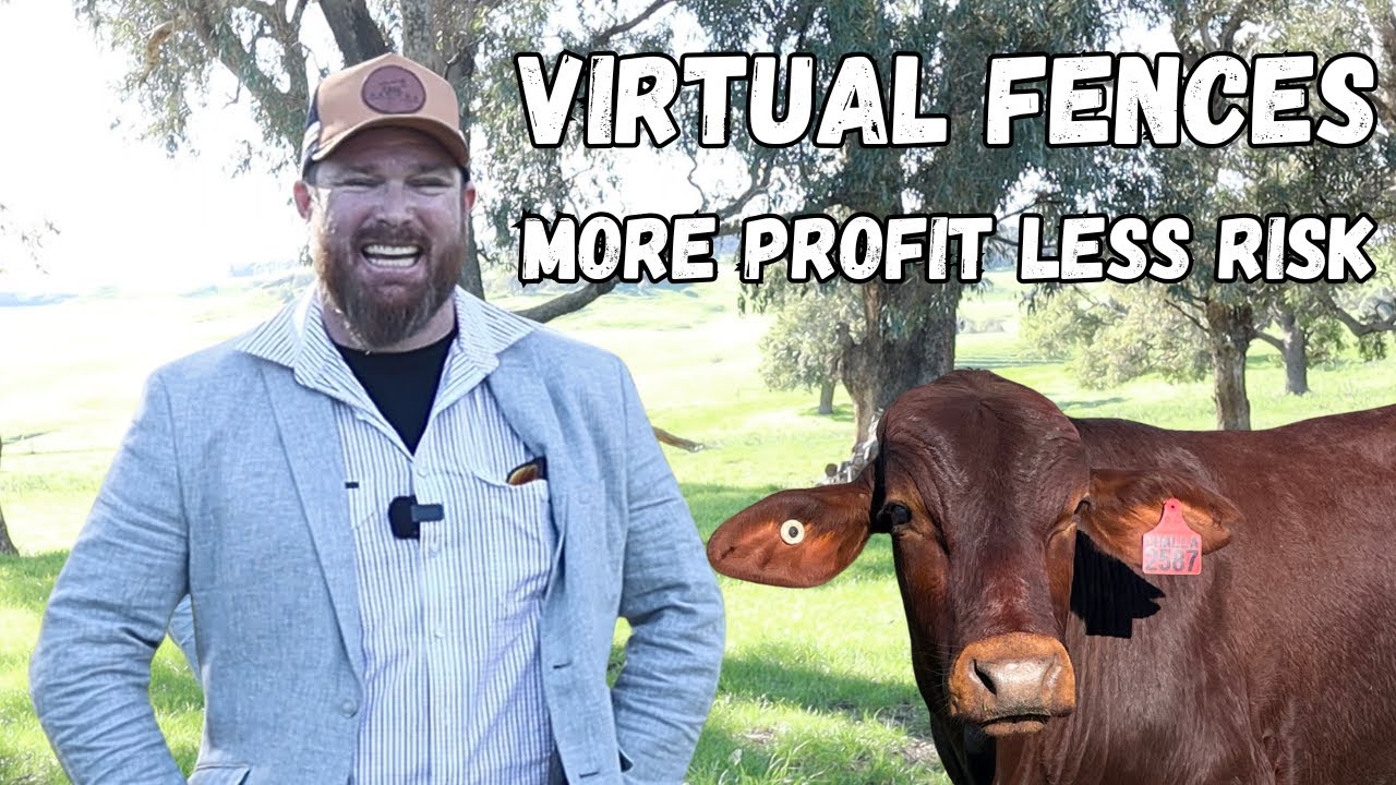 Virtual Fencing Revolution: Boosting Grain & Grazing Profits