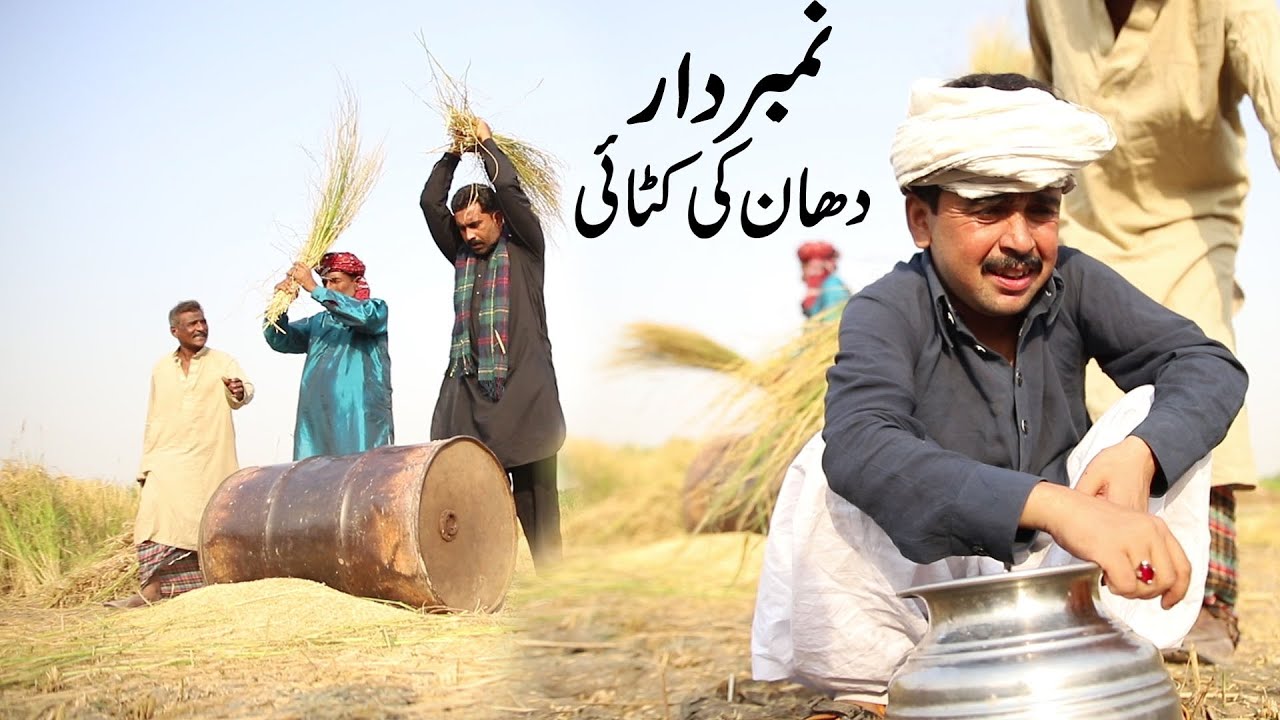 NumberDaar Munji Ki Katai | Bubly Top Funny |  New Punjabi Comedy Video 2021 | Chal Tv