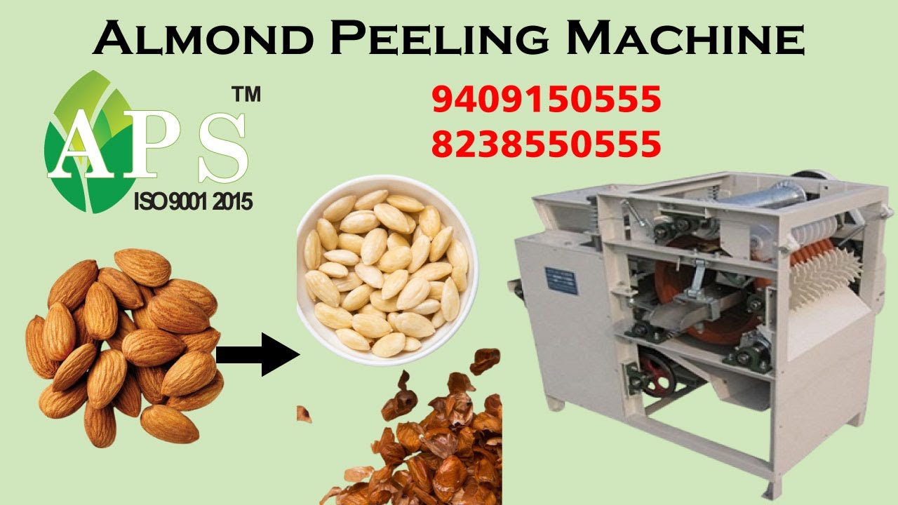 New 2023 Almond Peeling Machine And Ginger Peeler Machine Aps industries