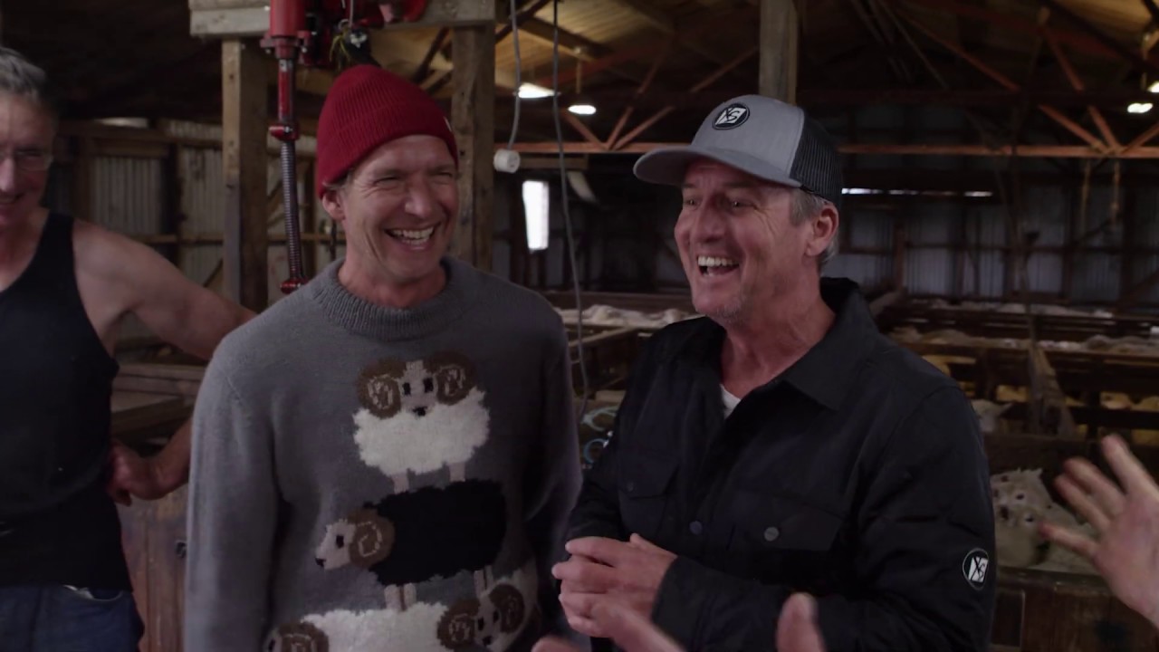 Expedition Series - Sheep Shearing