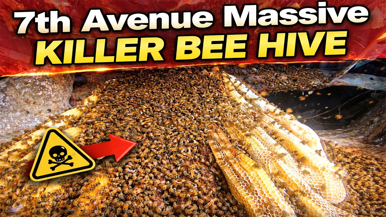 7 avenue massive bee hive 2026