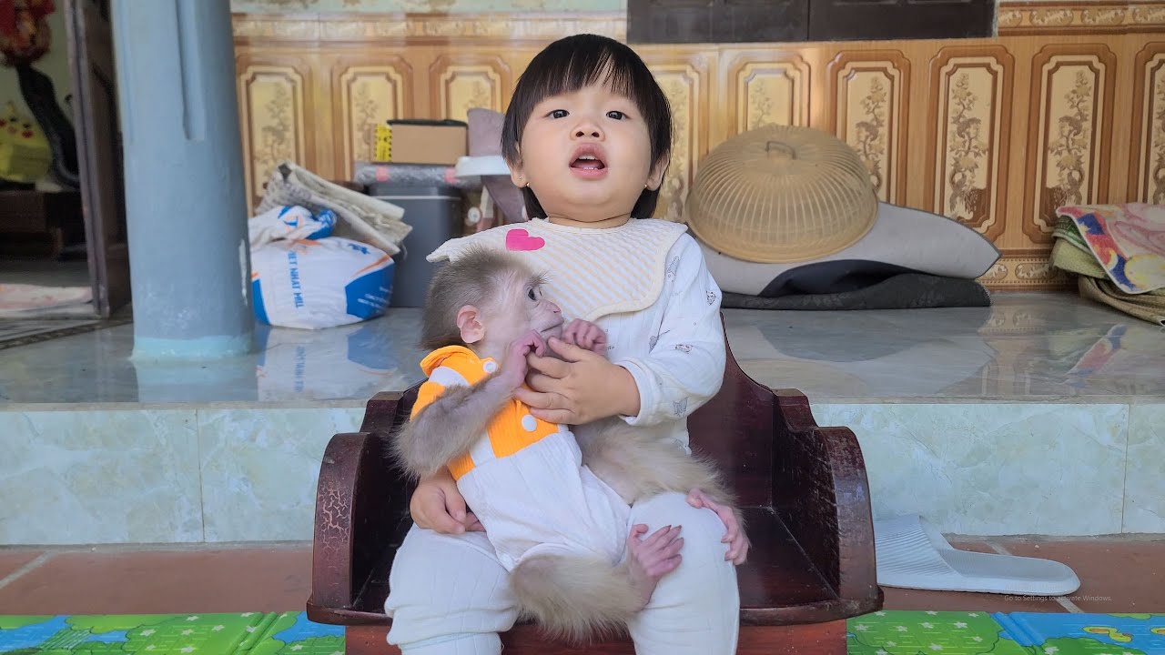 The older sister takes care of and protects Tini the monkey