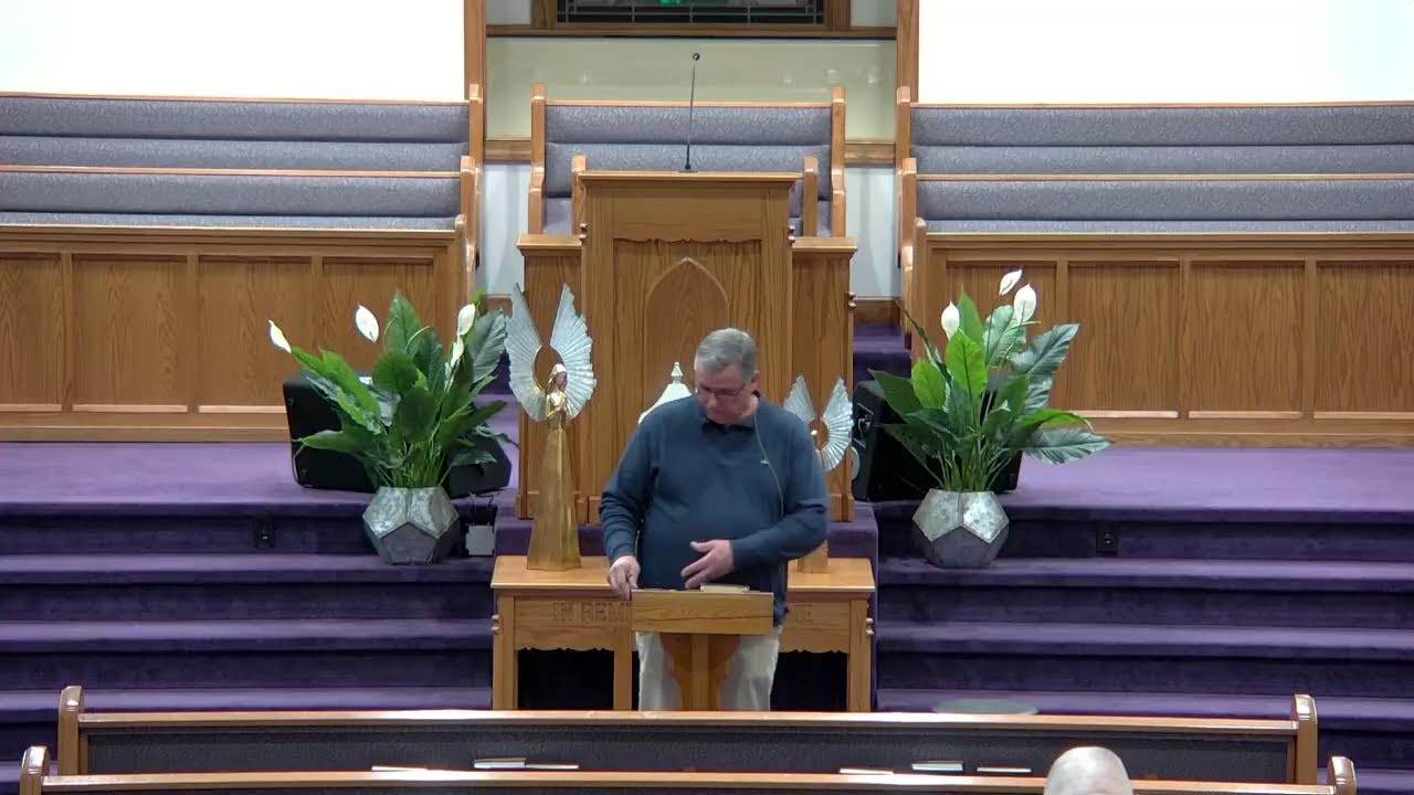 Live Stream