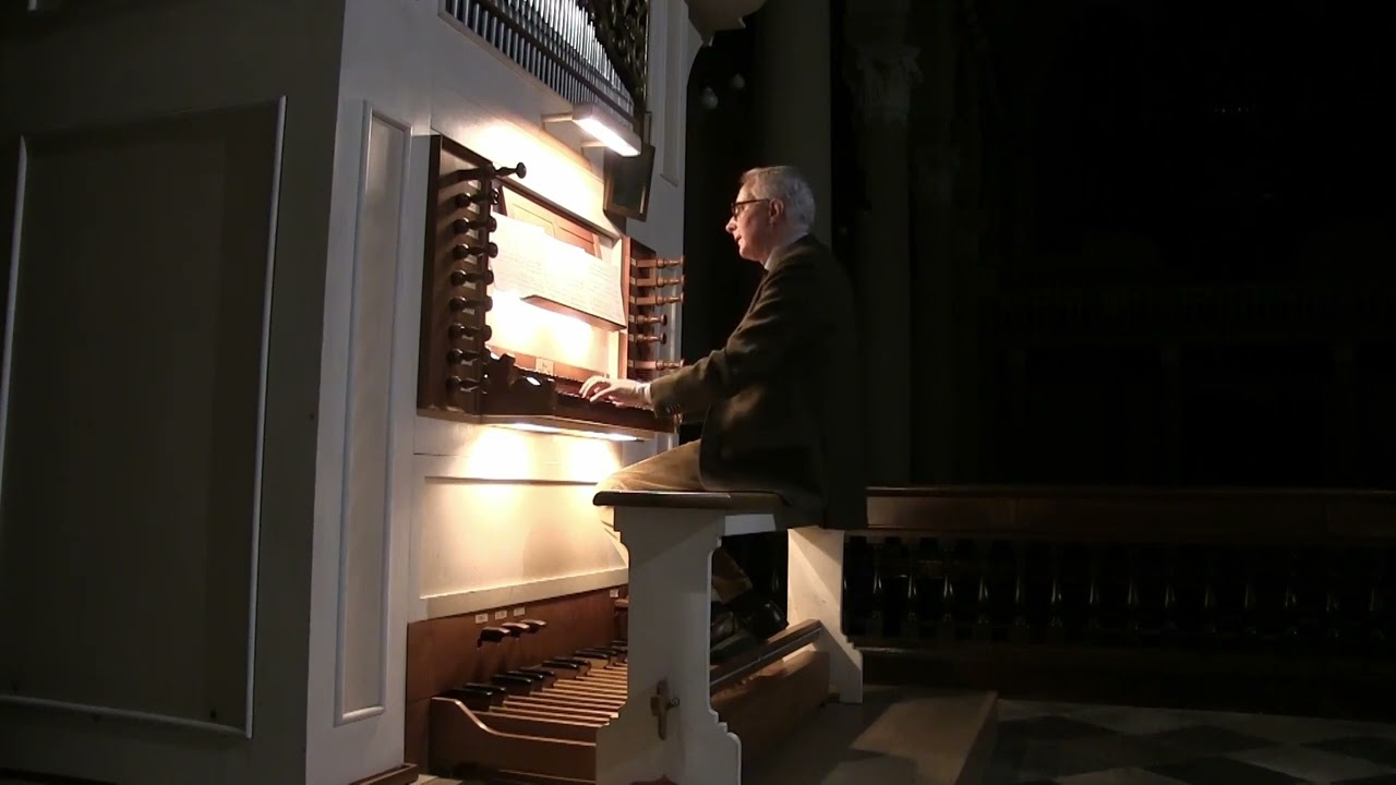 J. S. Bach: Wenn wir in höchsten Nöten sein BWV 668a - Andrea Banaudi
