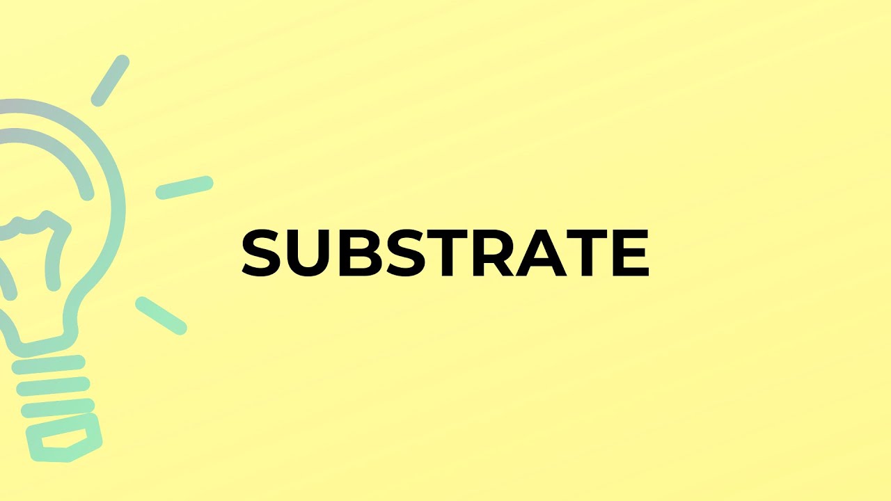 What is the meaning of the word SUBSTRATE?