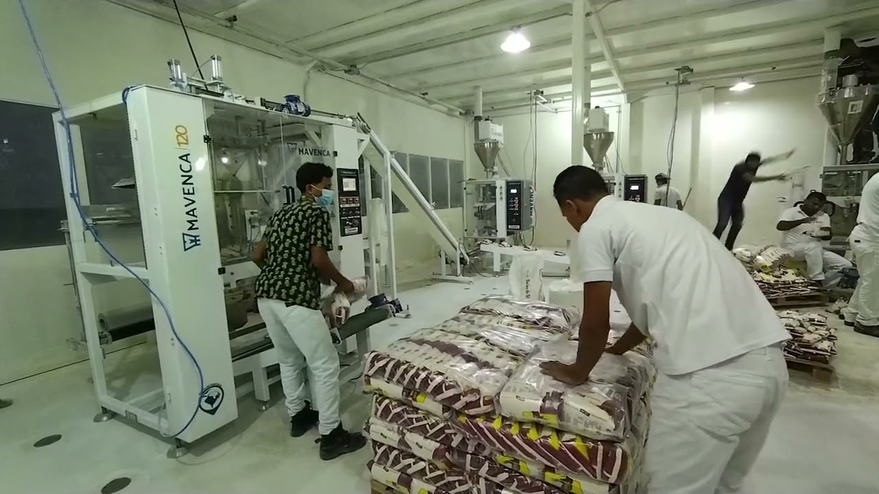 Sistema Maquina Empaquetadora y Enfardadora Para Harina de Maíz o Harina de Trigo