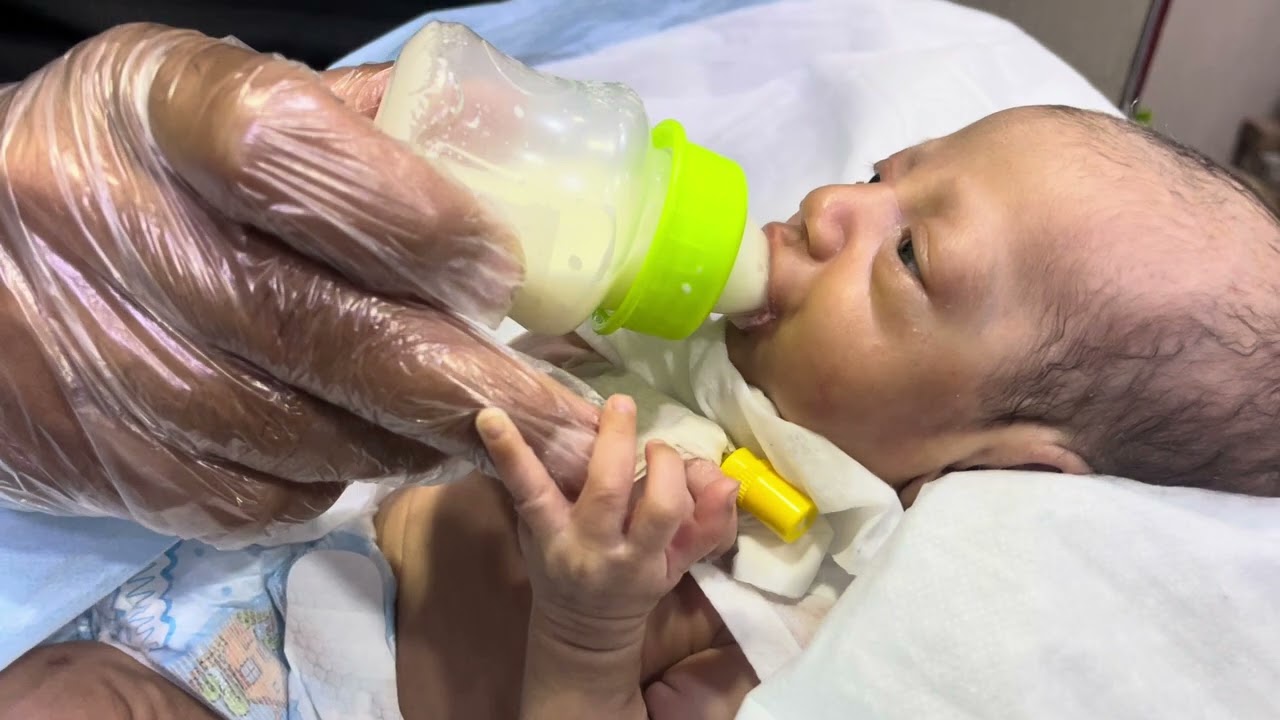 How to Feed Gently Newborn Baby 🍼👶 | Safe & Calm Feeding Technique #NewbornCare #BabyFeeding 