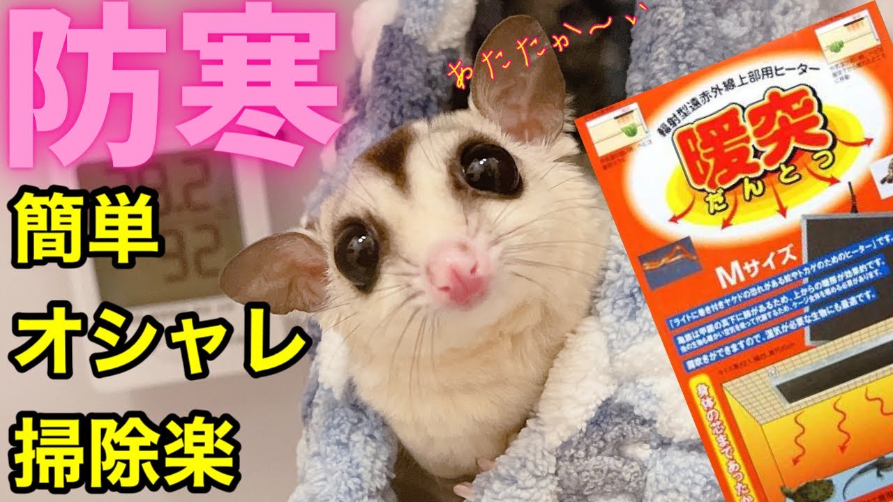 フクロモモンガ初心者必見！冬の寒さ対策。超簡単、暖突取り付け方を紹介【アクリルケージ】【掃除や手入れも超簡単でオシャレ】