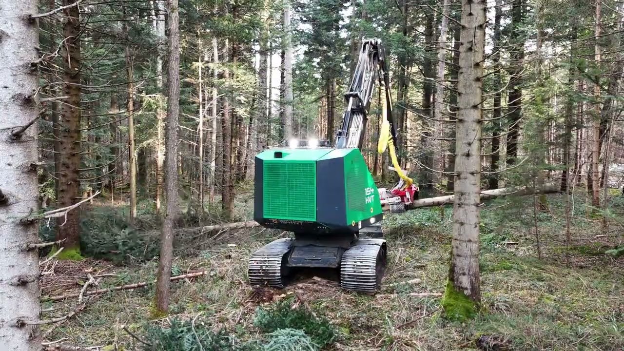 Neuson 154HVT -  Durchforstung in Bayern