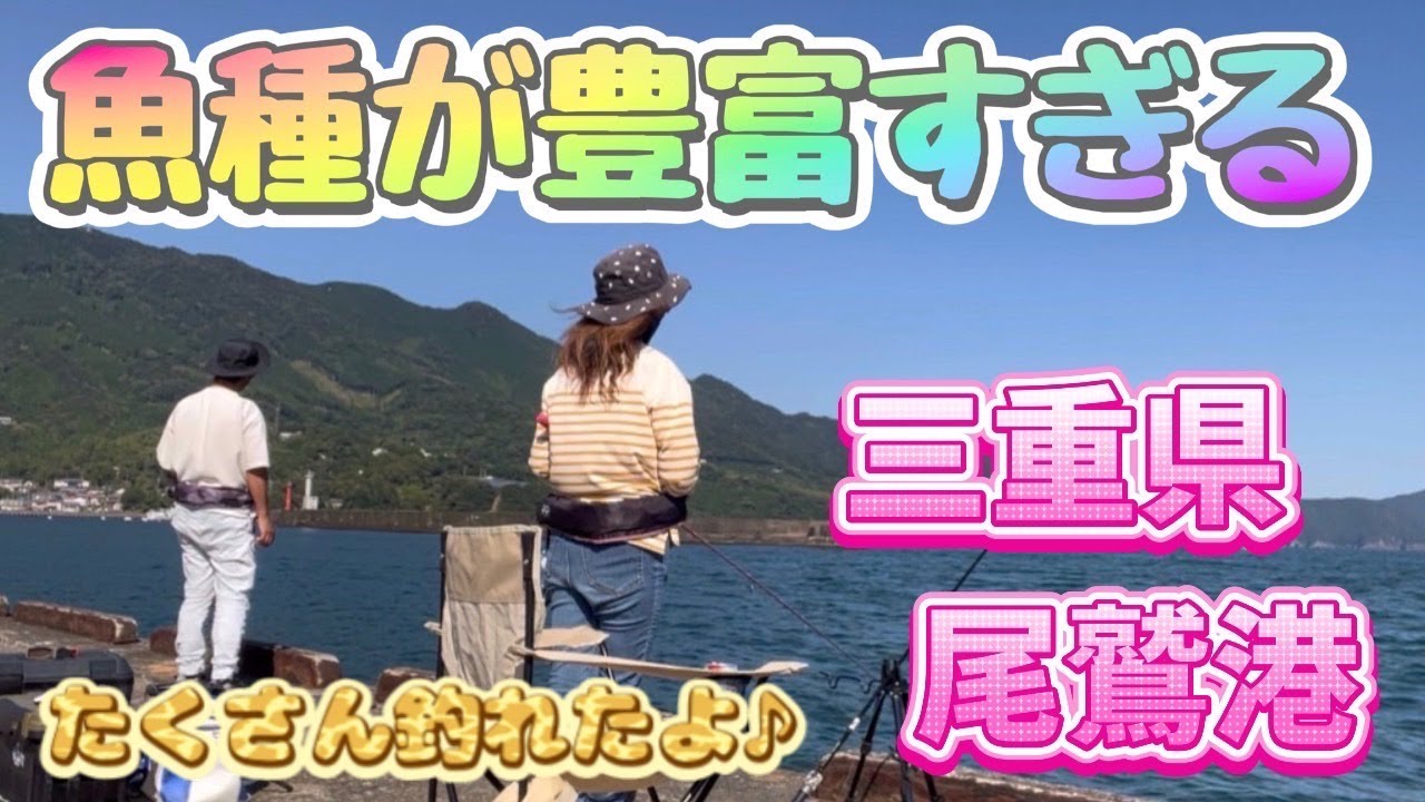 三重県尾鷲港で釣り🎣2024.10.13