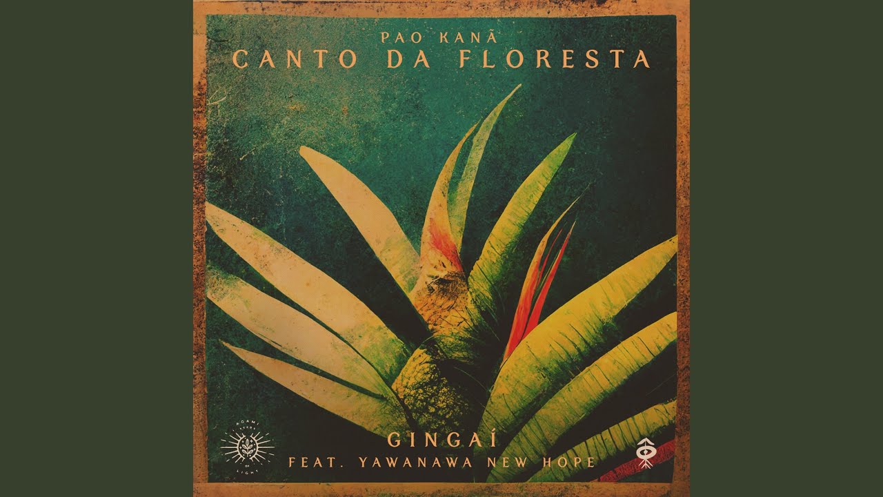 Pao Kanã Canto Da Floresta