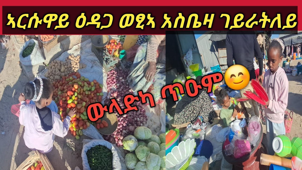 ንመጀመርታ ግዜ ኣርሱዋይ ዕዳጋ ወፂኣ ኣስቤዛ ገይራትለይ