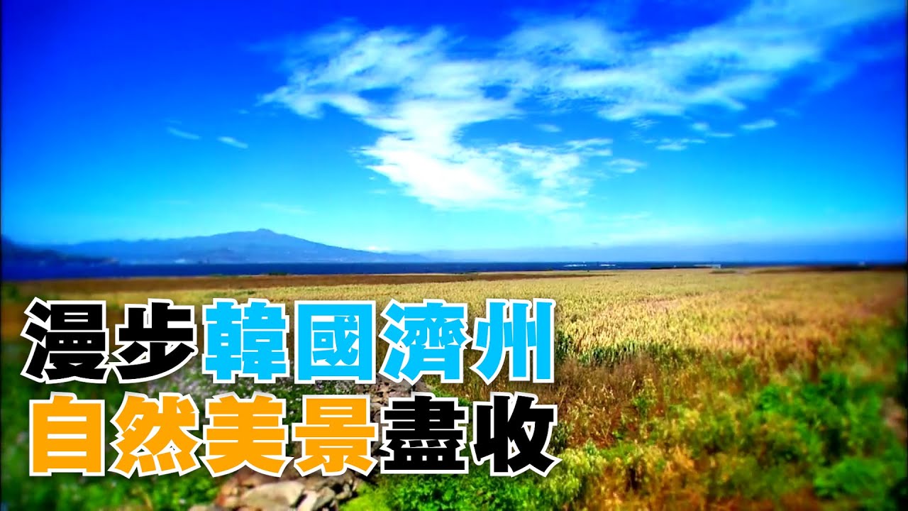 【你好韓國】漫步濟州大自然 偶來路采風