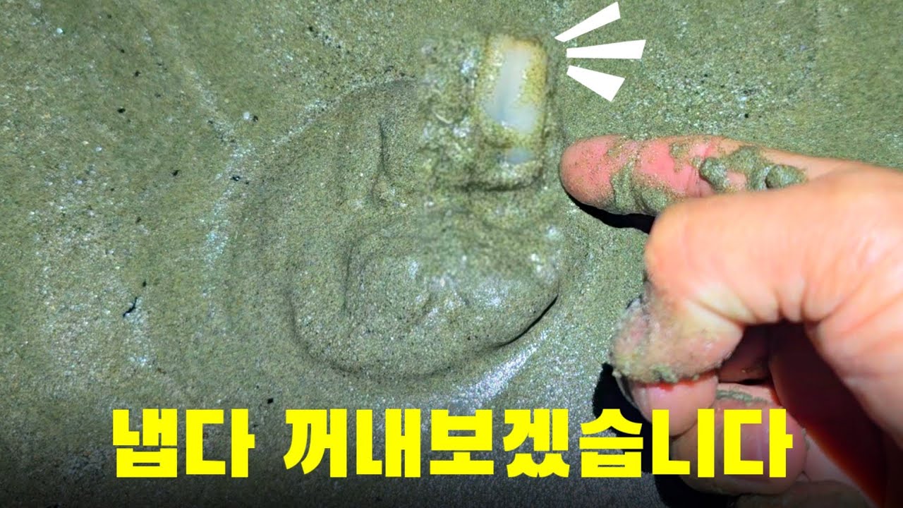 모래 무덤위 촉수를 냅다 꺼내보았습니다