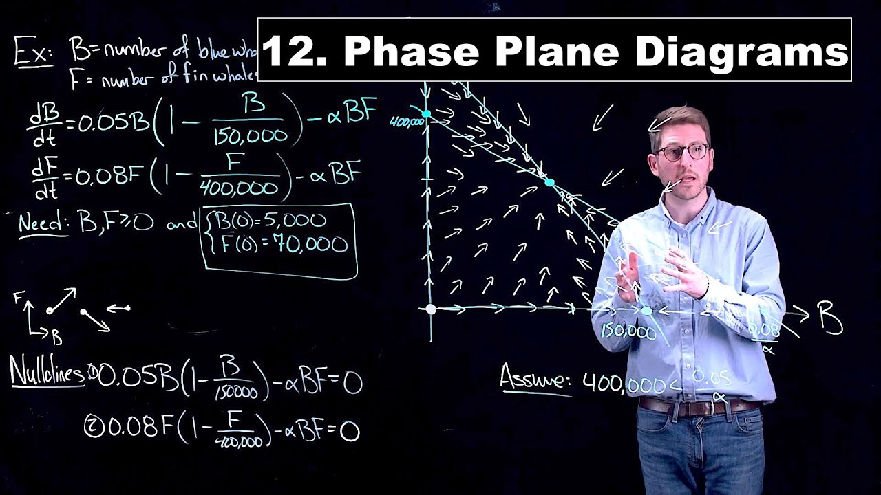 Phase Plane Diagrams - Math Modelling | Lecture 12