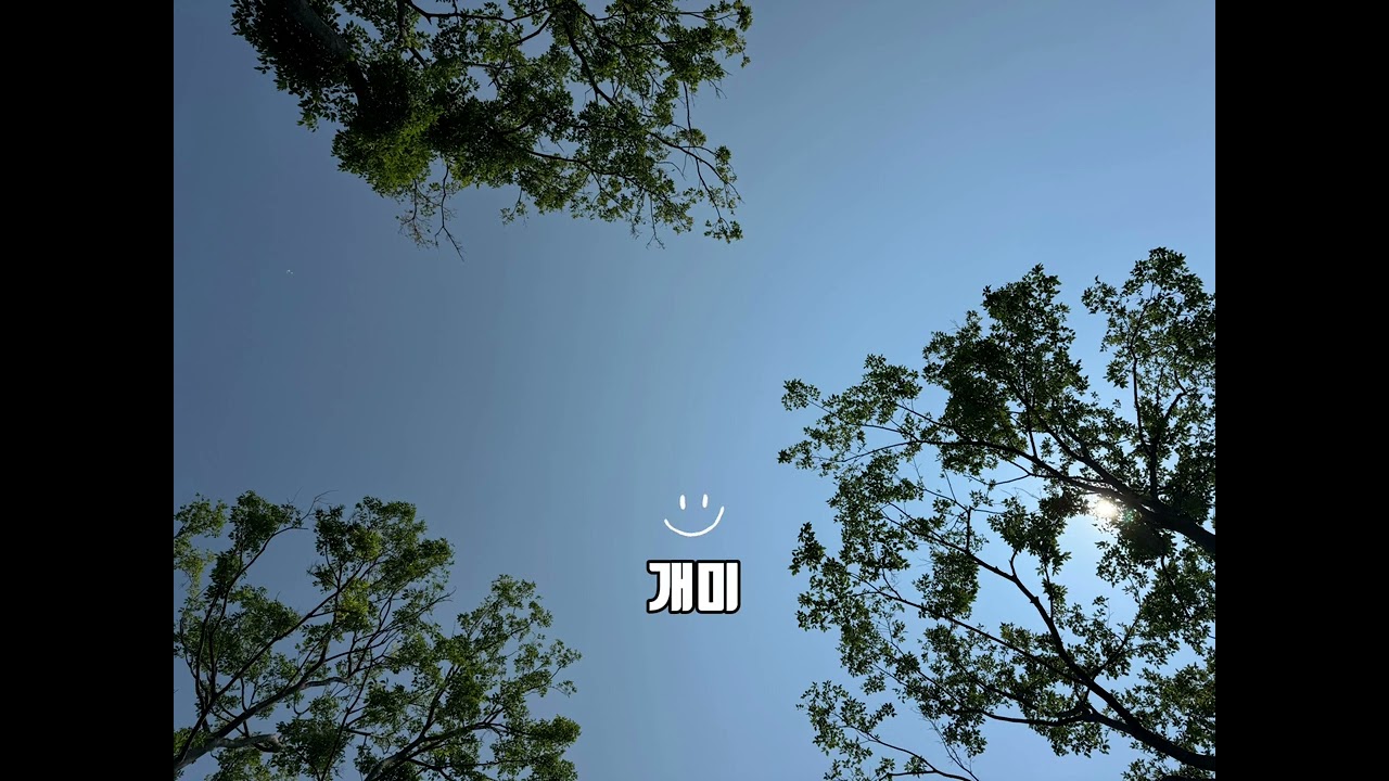 🎧 [Playlist] 오존 한 스푼, 카더가든 한 스푼