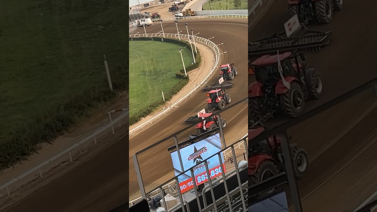 Horse euthanized after injury at Calgary Stampede #calgary #stampede #rodeo #horse